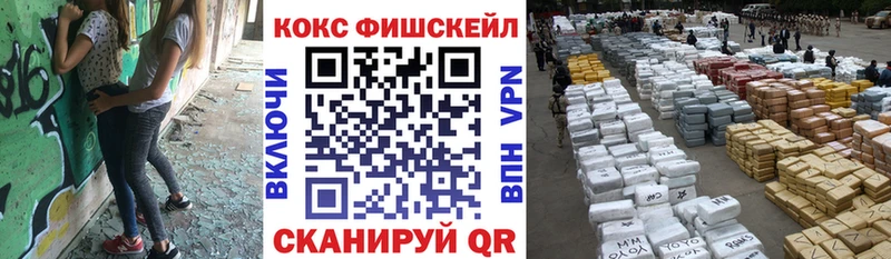 Купить закладки  Усолье  COCAIN Fish Scale 
