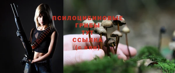 ALPHA PVP Заводоуковск