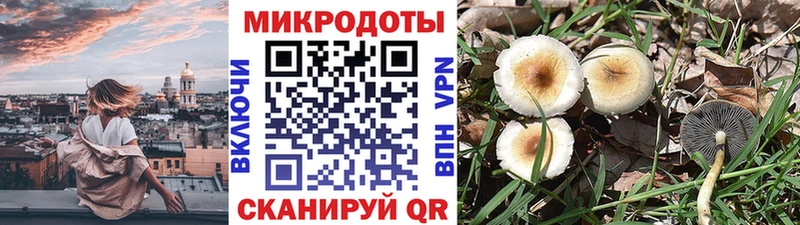 Галлюциногенные грибы ЛСД Усолье