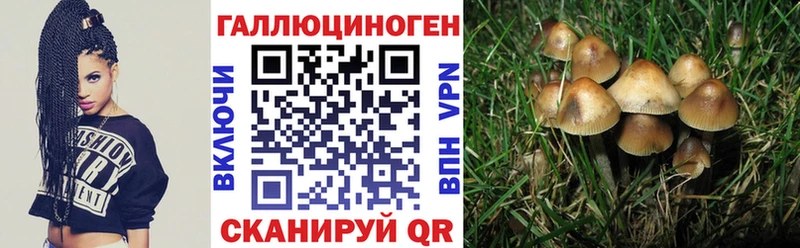 Купить где  Усолье  Псилоцибиновые грибы Psilocybine cubensis 